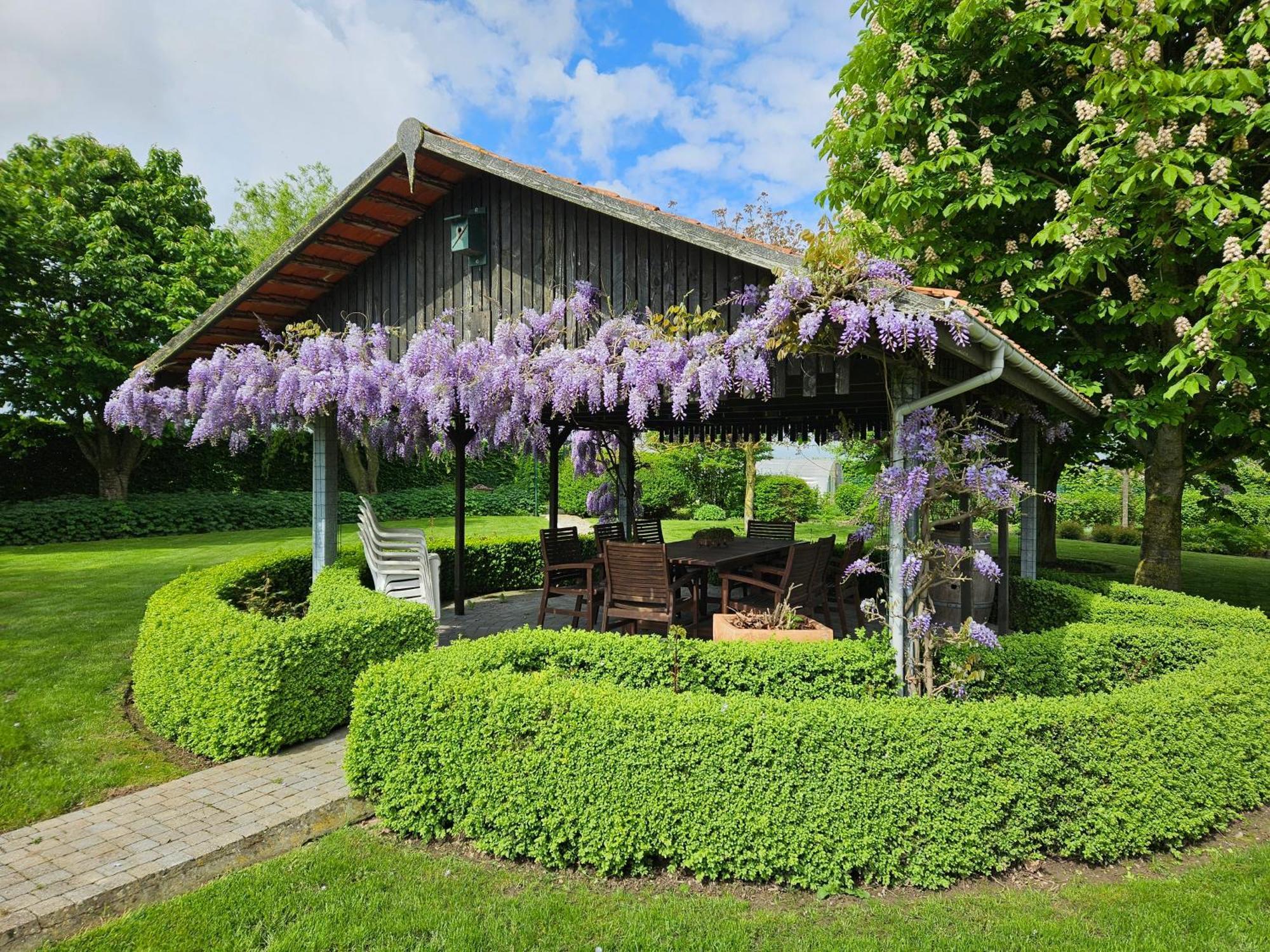 'T Hooghe Licht Bed & Breakfast 조네베커 외부 사진